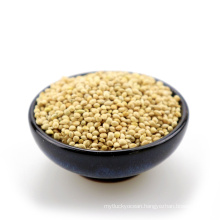 Well choose Natural Grown White broom corn millet